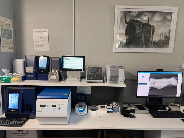 In-house laboratory