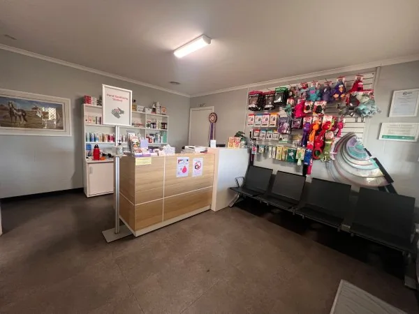 Reception and waiting area