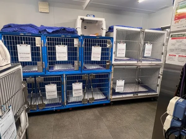 Recovery cages