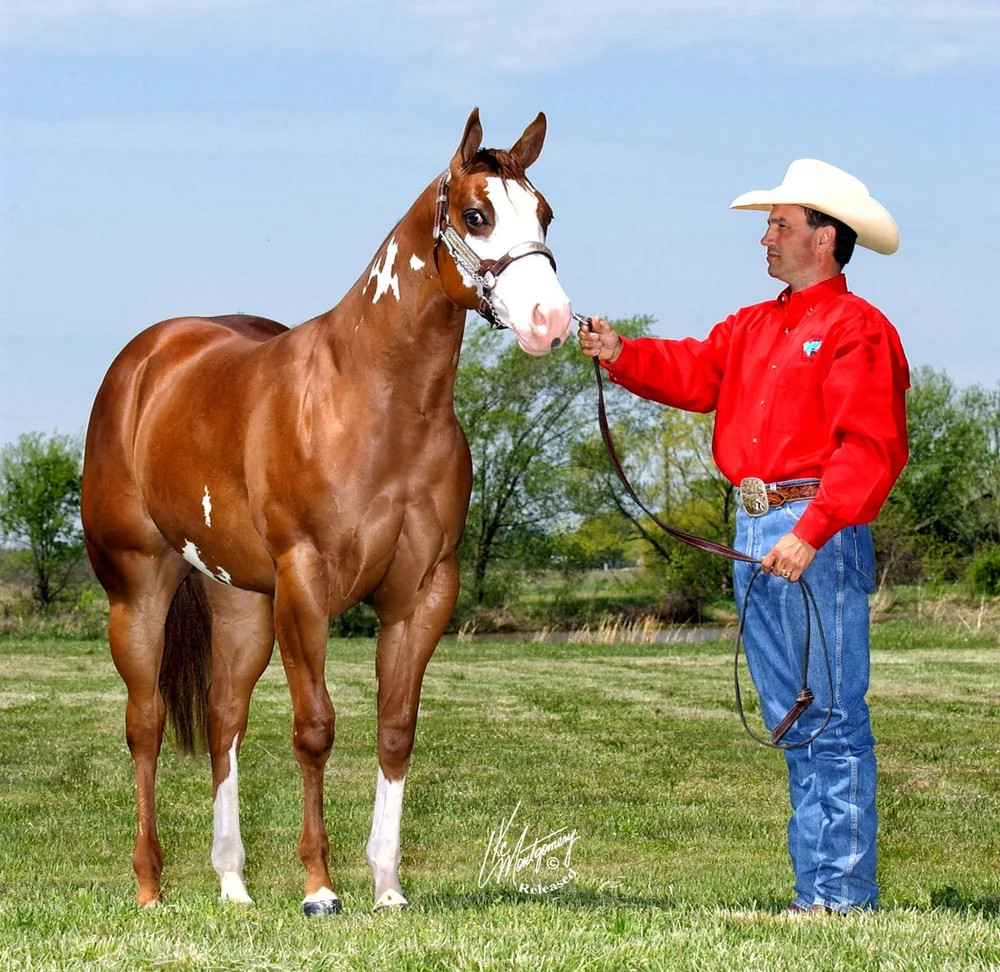 DMB Society Cowgirl with her handler