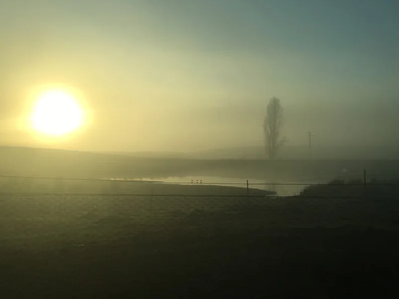 Misty sunrise over the Sonza property