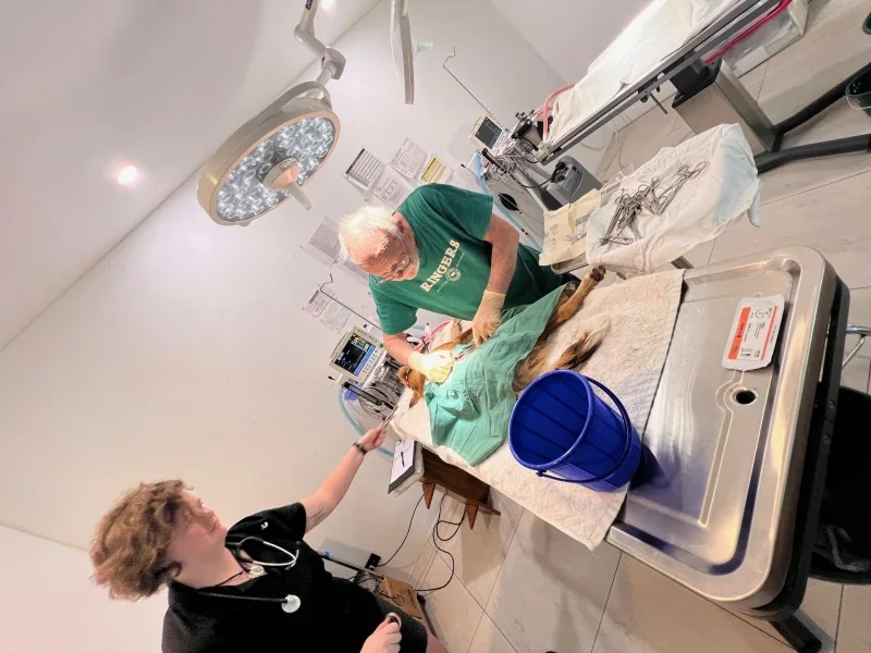 Surgery under way at the Sonza clinic