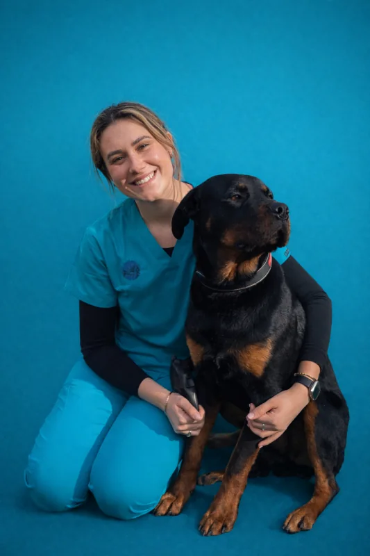 Belle with a Rottweiler